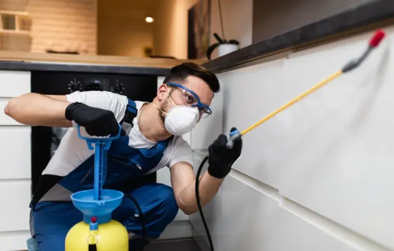 SEO For Pest Control